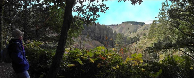 sm011112802purisimanorthridgetrail01.jpg