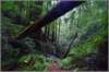 sm2011112926butano_small.jpg