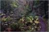 sm2011112930butano_small.jpg