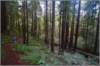 sm2011112936butano_small.jpg