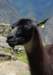 sm20130929_080machupichu_small.jpg