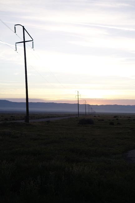 sm20150321_13carrizoplain.jpg