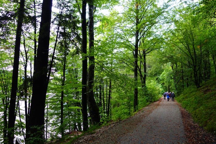 sm20150924_44bohinjtour.jpg