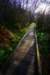 sm20160223_42mackerrichercleonelake_small.jpg