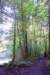 sm20160224_130humboltspblueslide_small.jpg