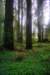 sm20160225_143humboltspduranchaneytrl_small.jpg