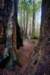 sm20160225_143prairiehopecreektrl_small.jpg