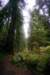 sm20160226_172prairieprairiecreektrl_small.jpg