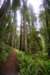 sm20160226_173prairieprairiecreektrl_small.jpg