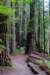 sm20160226_175prairieprairiecreektrl_small.jpg
