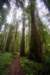 sm20160226_183prairieprairiecreektrl_small.jpg