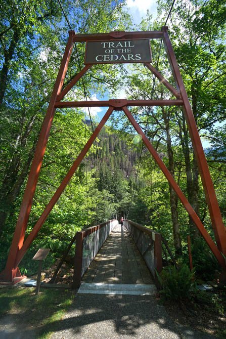 sm20160512_03trailofcedars.jpg