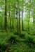 sm20160515_39beaverbaycampground_small.jpg