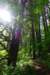 sm20160517_87silverfalls_small.jpg