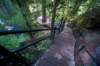 sm20160519_17toketeefalls_small.jpg